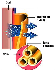 Thermolite